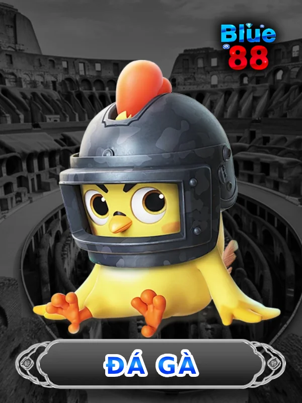 Sảnh chơi đá gà Blue88